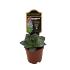 Escheveria