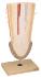Eisco® Root Tip Model