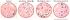 Leukemia Petriscope Set