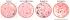 Infections Petriscope Set