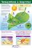 Curriculum Mastery Posters
