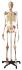 Rudiger® Best Of Rudiger Skeleton