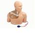 Gen II µltrasound central line model with transparent insert and hand pump training model