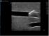 Peripheral doppler µltrasound training model