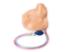 Gen II µltrasound central line training model replacement tissue insert