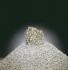 Ward's® Porphyry