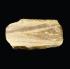 Ward's® Cross-bedded Sandstone