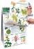 Curriculum Mastery® Science Flip Charts