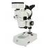StereoScope Zoom with 3.0 MP Camera