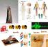 Nervous system bundle