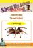 Show Me Science: Arachnids–Tarantula! Video