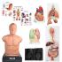 Advanced auscultation lab