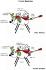 Science Take-Out® Beebops Genetics And Evolution
