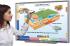 NewPath HS EARTH SCIENCE Interactive Whiteboard Digital Download-Site License
