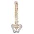 Deluxe Flexible Spine