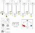 Science Take-Out® Stem Cells