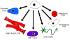 Science Take-Out® Stem Cells