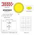 Science Take-Out® Modeling Photosynthesis And Cellular Respiration