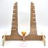 Projectile Motion Slingshot Kit