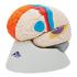 Model Neuro-Anatomical Brain, 8-Parts