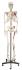 Walter® Rod Mount Painted Skeleton