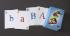 Ward's® Allele Playing Cards