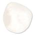 3B Scientific®  Patella