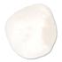 3B Scientific®  Patella