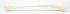 3B Scientific®  Tibia