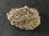 Ward's® Conglomerate (Quartz)