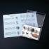 Ward's® Fossil Display Pack