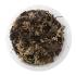 Reptifauna powder blue isopods