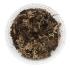 Reptifauna powder orange isopods