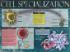 Cells: Structure, Function and Processes Posters