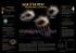 Gravitation Poster
