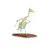 3B Scientific® Goose Skeleton