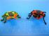 Solar Bug Kit