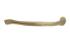 Standard Humerus