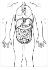 Roylco Organs Aprons