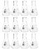 Erlenmeyer flask