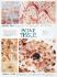 Biocam Mircohistology Charts