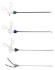 Laparoscopic Training Dome