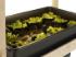 Hydroponics Center