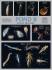 BioCam Pond Life Wall Charts
