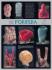 Biocam Museum Of Life Posters