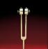 Adjustable Aluminum Tuning Fork