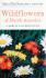 Golden Books Field Guides