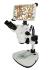 Zoom Stereomicroscope with Digital Screen