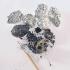Ward's® Introduction to Owl Pellets Lab Activity