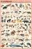 Content-Intensive Info Posters